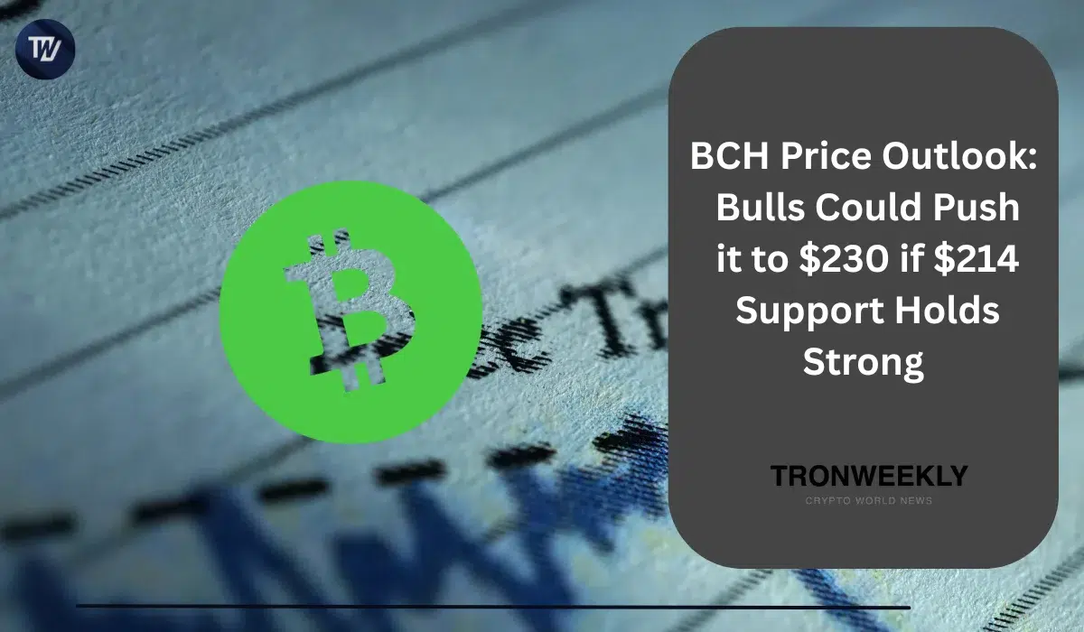 BCH Price