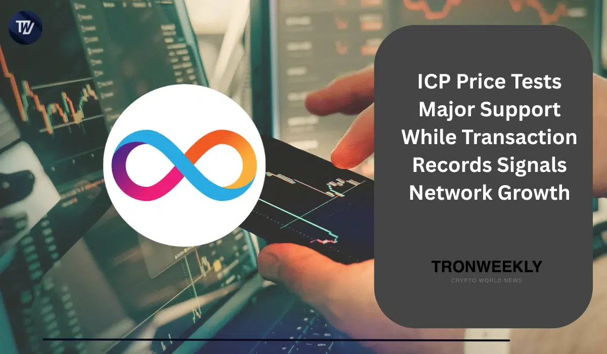ICP Price Tests Major Support While Transaction Records Signals Network Growth