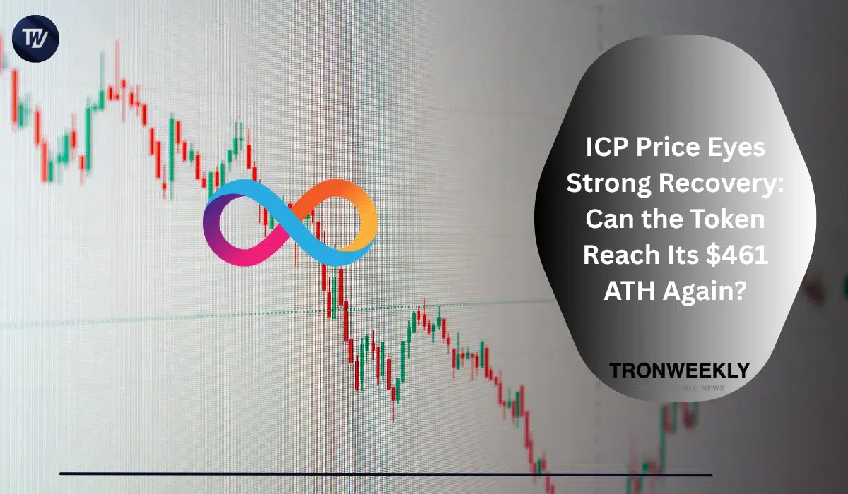ICP Price Eyes Strong Recovery: Can the Token Reach Its $461 ATH Again?