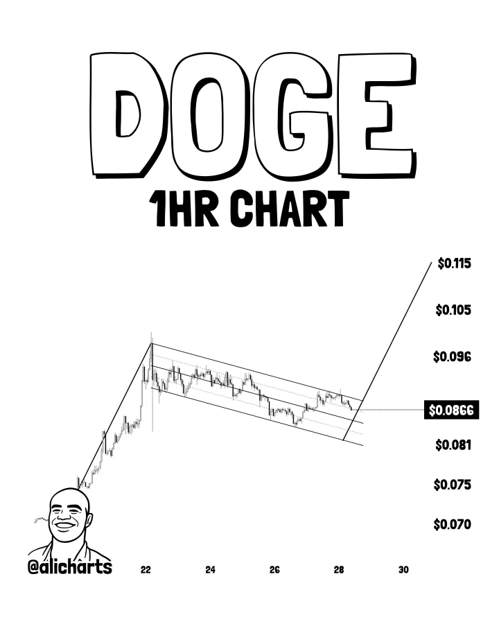 DOGE price prediction