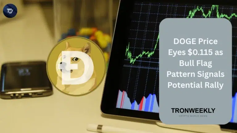 DOGE price
