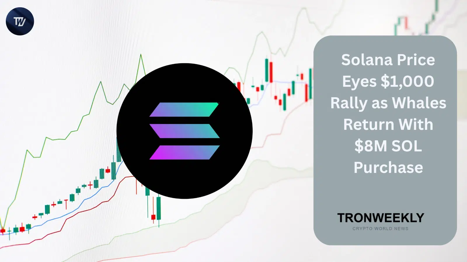 Solana Price Eyes $1,000 Rally as Whales Return With $8M SOL Purchase