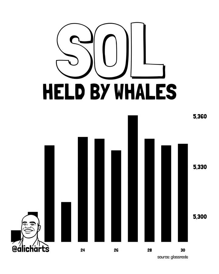 Solana whale holdings