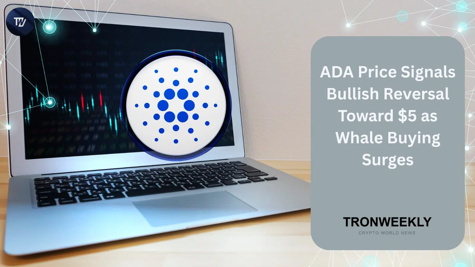 ADA Price Signals Bullish Reversal Toward $5 as Whale Buying Surges