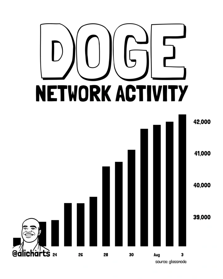 Dogecoin network activity