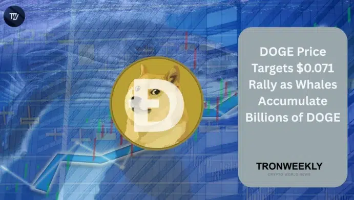 DOGE price