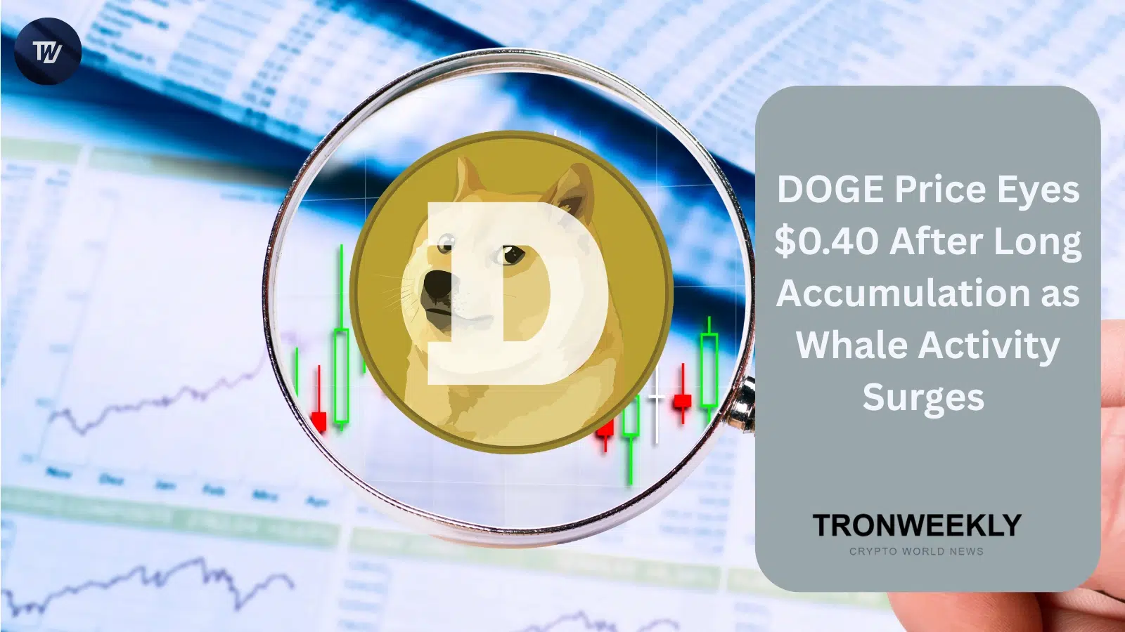 DOGE Price Eyes $0.40 After Long Accumulation as Whale Activity Surges