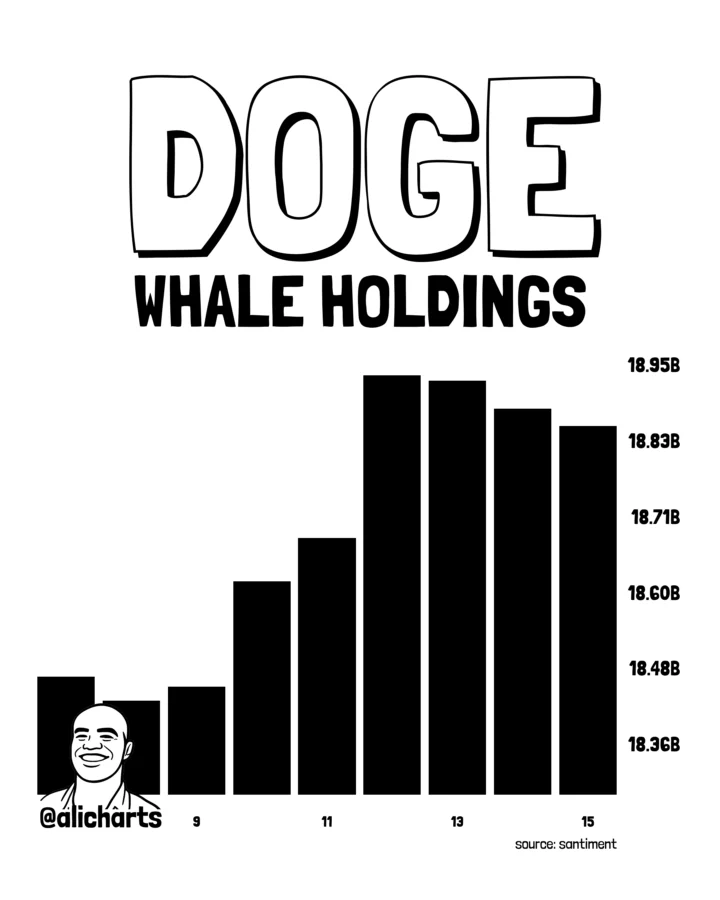 Dogecoin whale activity