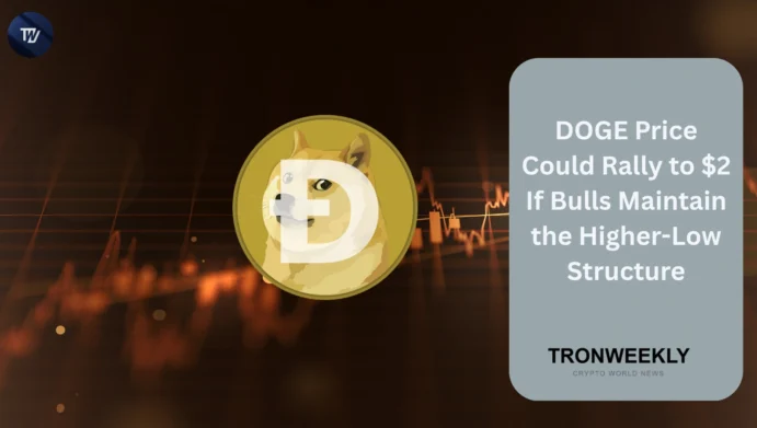 DOGE price