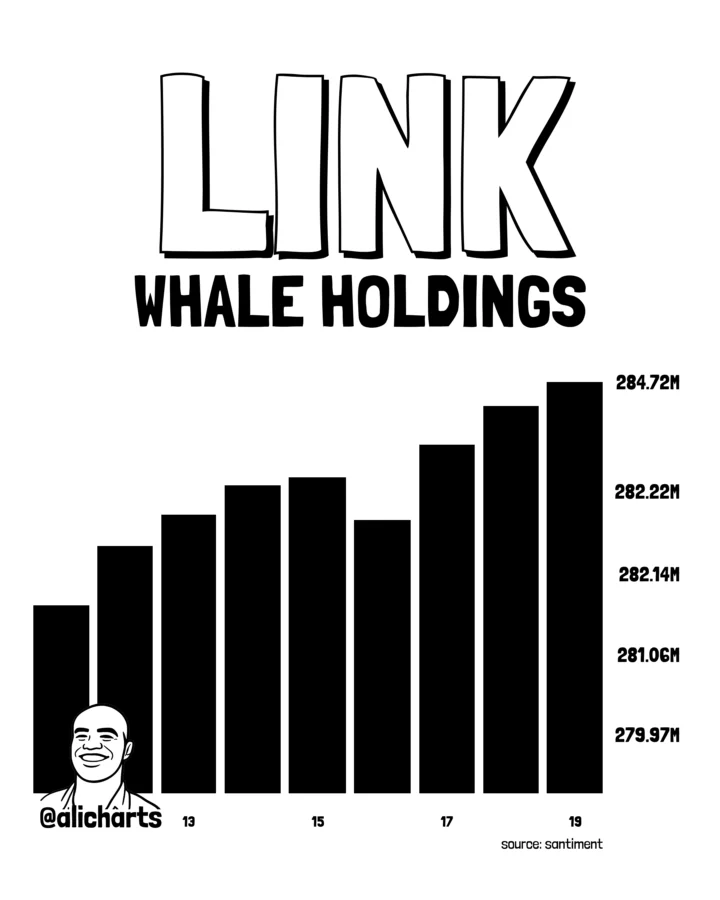 Chainlink whale holdings