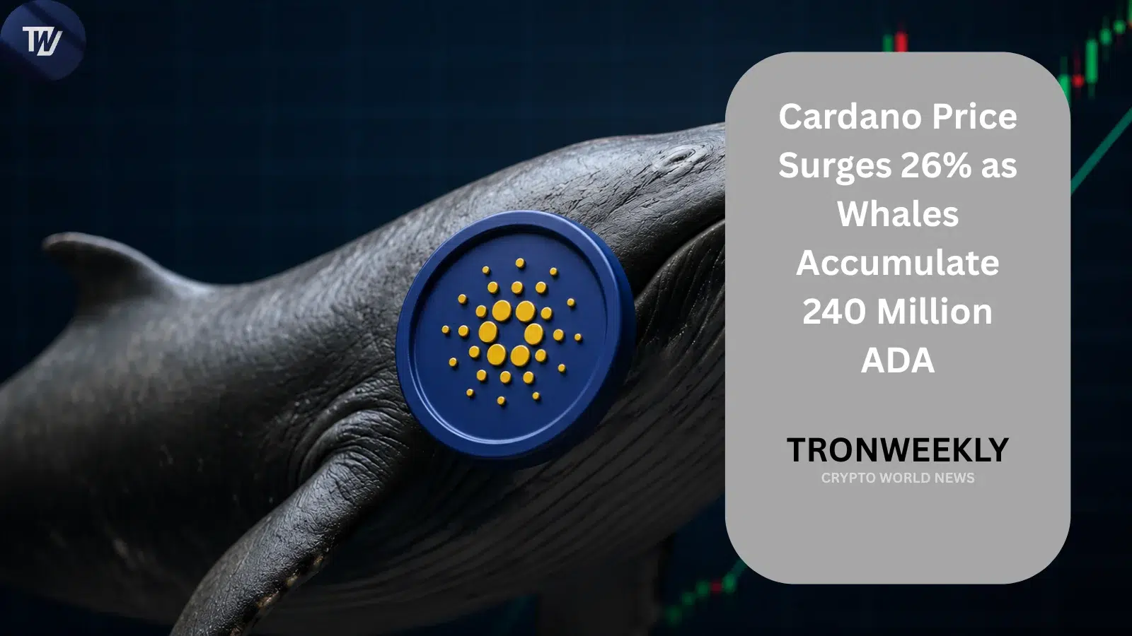 Cardano Price Surges 26% as Whales Accumulate 240 Million ADA