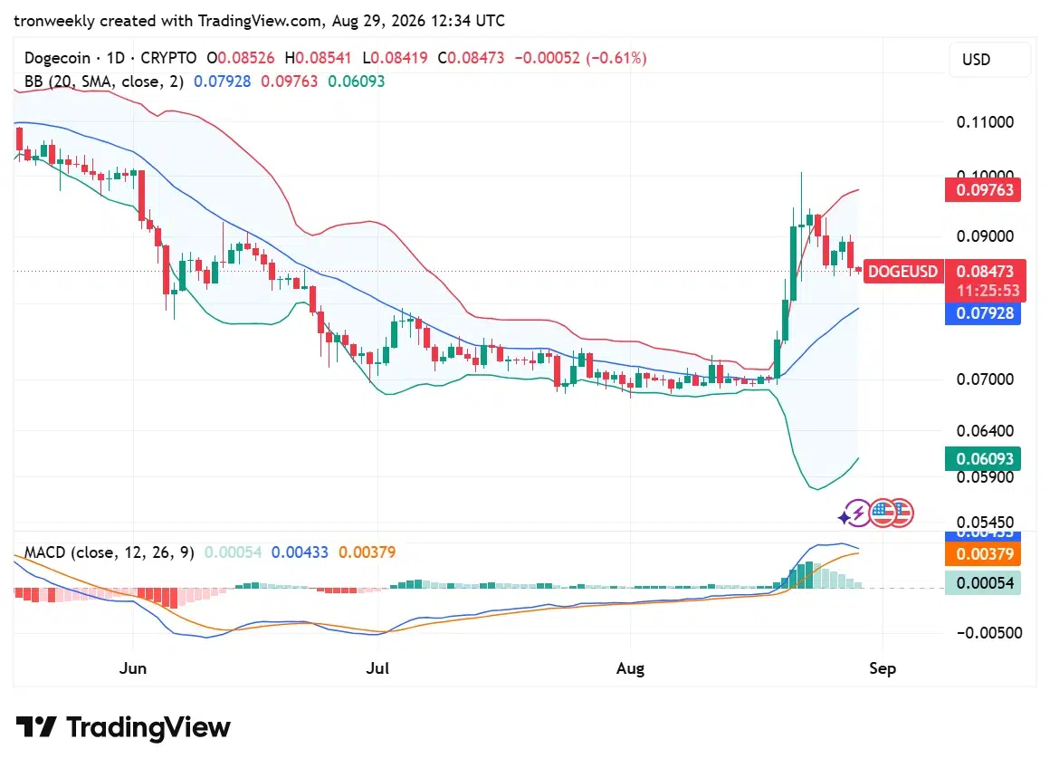 DOGE technical analysis chart