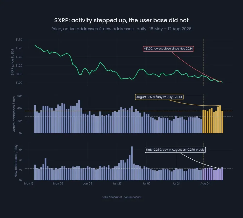 XRP Price Drops 69% as Holder Activity Grows