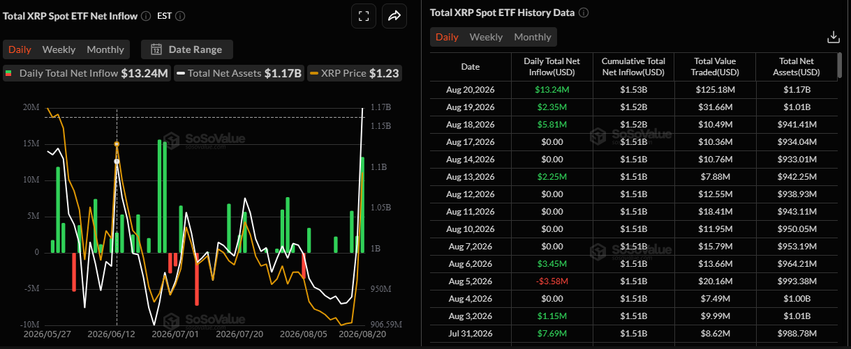 What Is Driving XRP Market Activity?