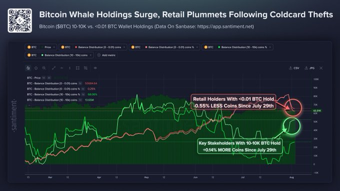 Bitcoin whale holding