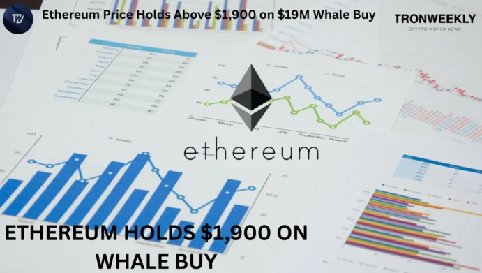 Ethereum Price