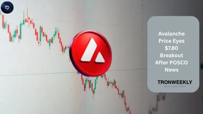 Avalanche Price