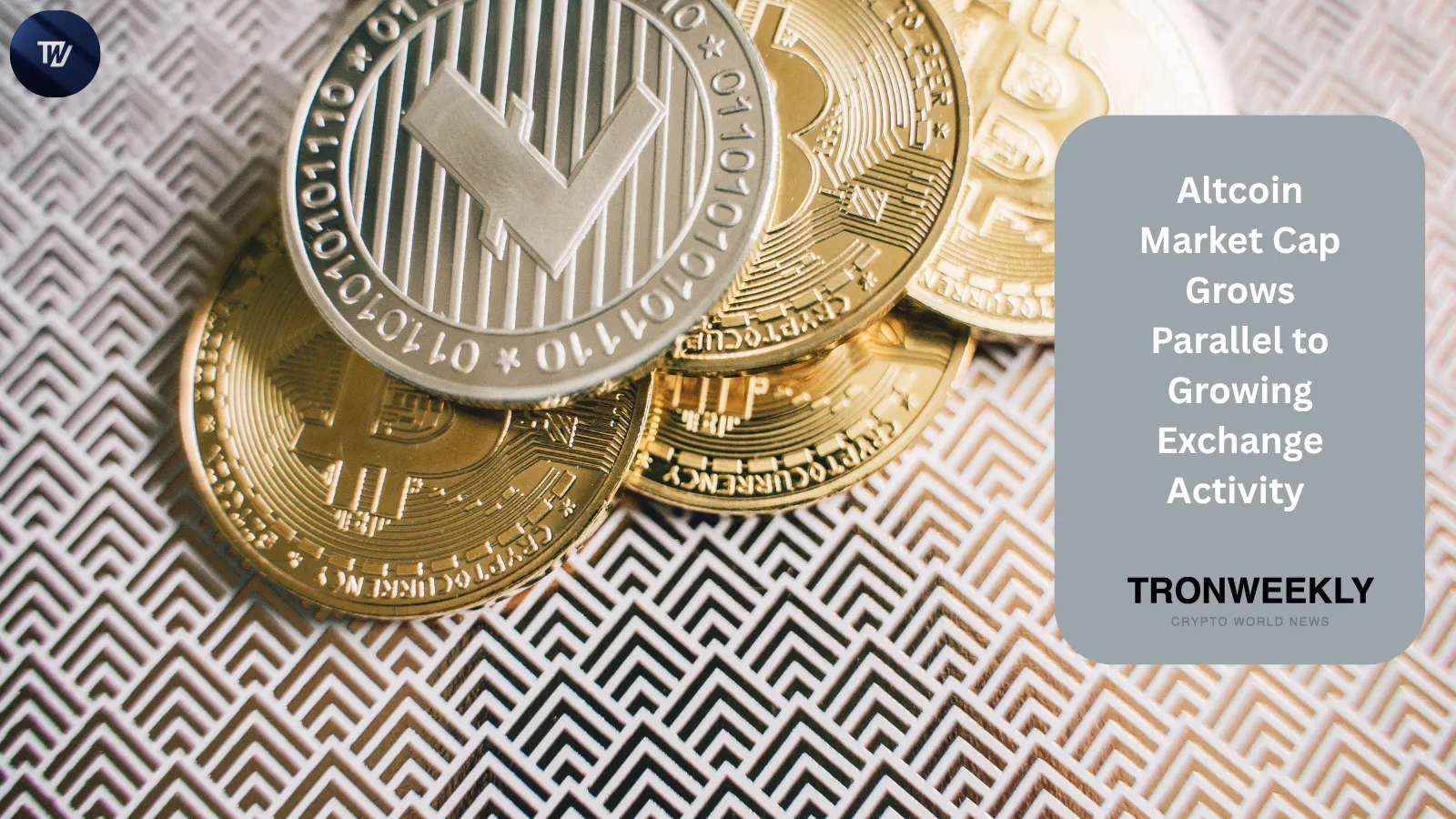 Altcoin Market Cap Grows Parallel to Growing Exchange Activity