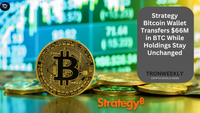 Strategy Bitcoin Wallet Transfers $66M in BTC While Holdings Stay Unchanged
