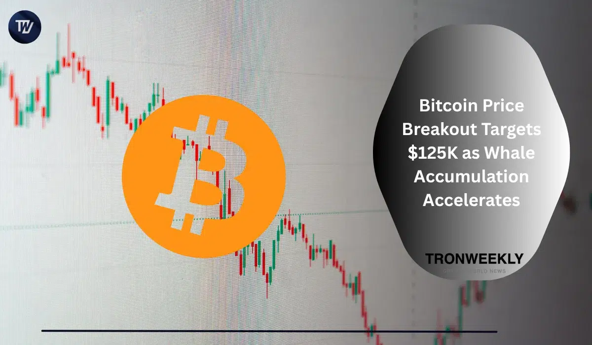 Bitcoin Price Breakout Targets $125K as Whale Accumulation Accelerates