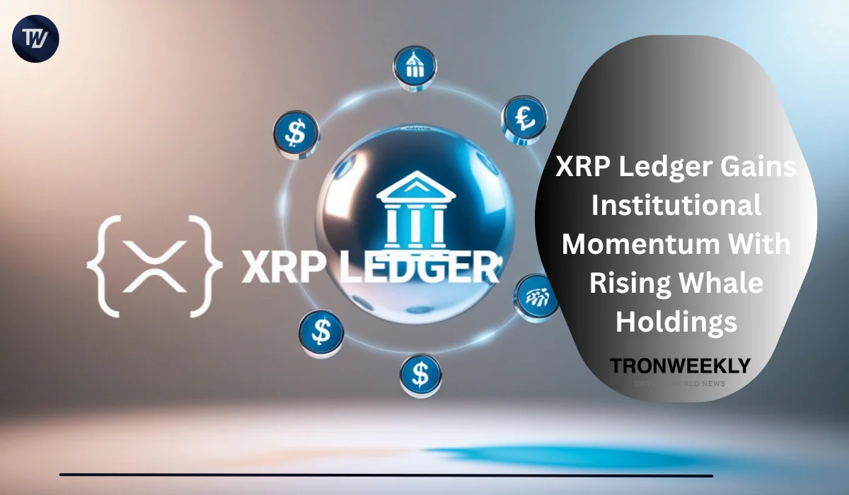 XRP Ledger Gains Institutional Momentum With Rising Whale Holdings