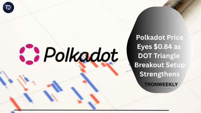 Polkadot