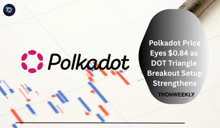 Polkadot