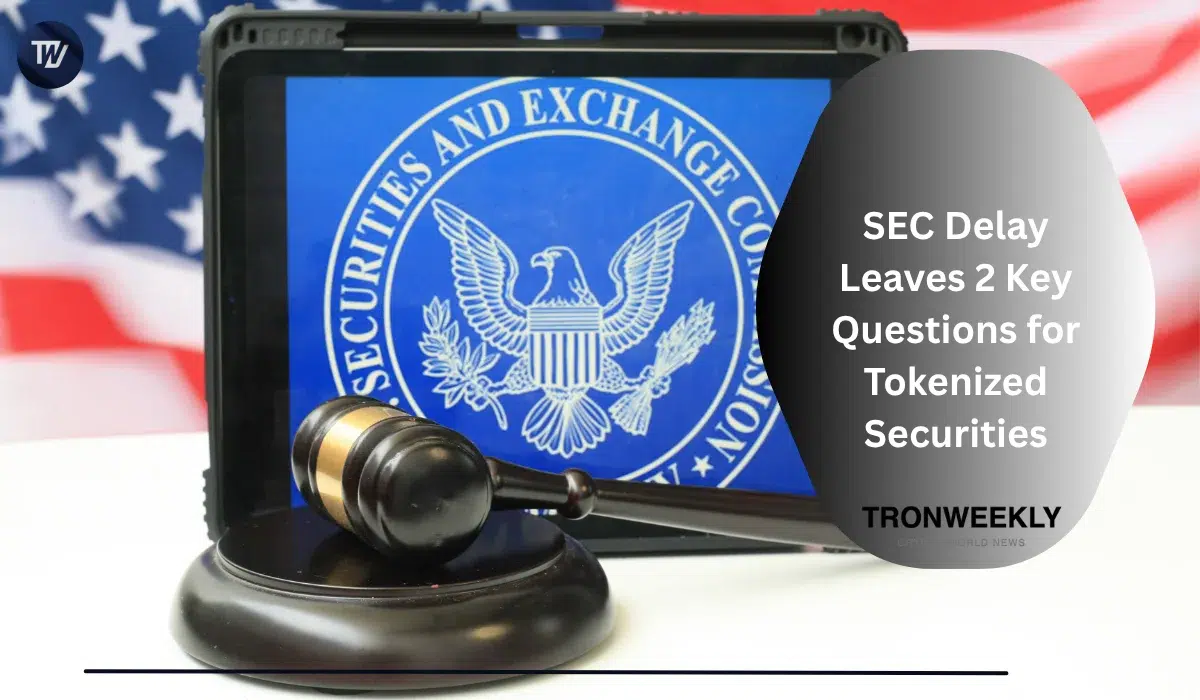 SEC Delay Leaves 2 Key Questions for Tokenized Securities