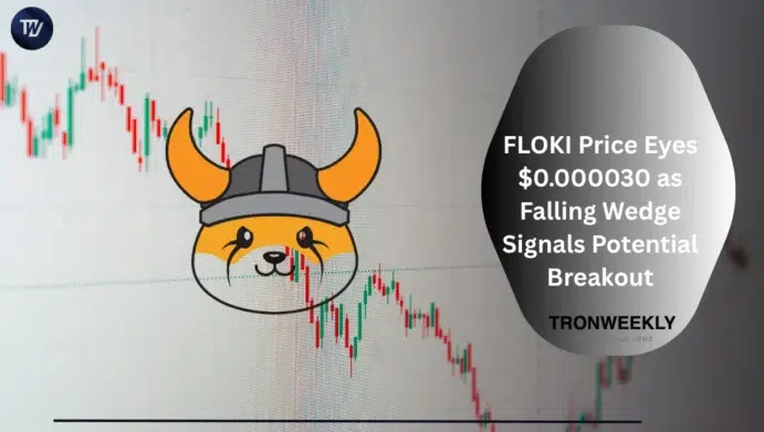 FLOKI