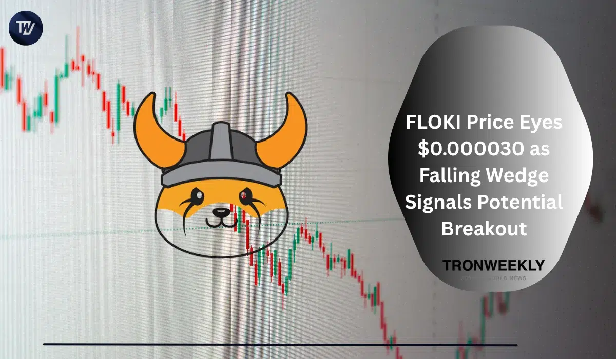 FLOKI Price Eyes $0.000030 as Falling Wedge Signals Potential Breakout
