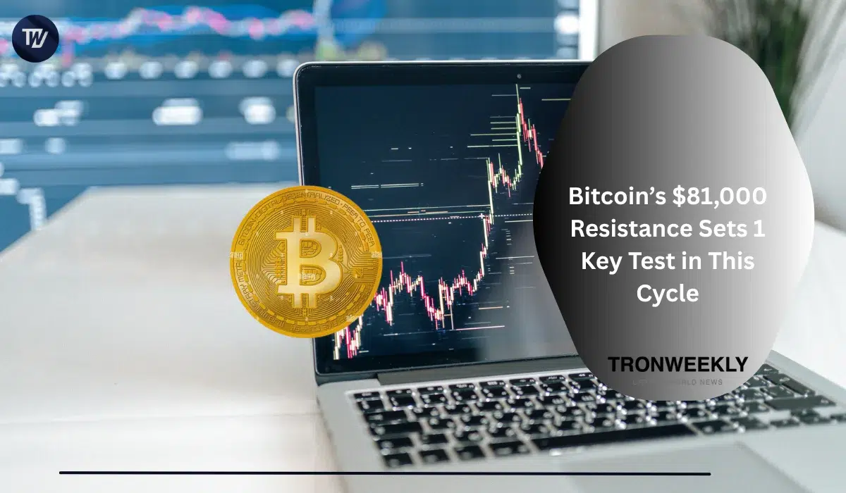 Bitcoin’s $81,000 Resistance Sets 1 Key Test in This Cycle
