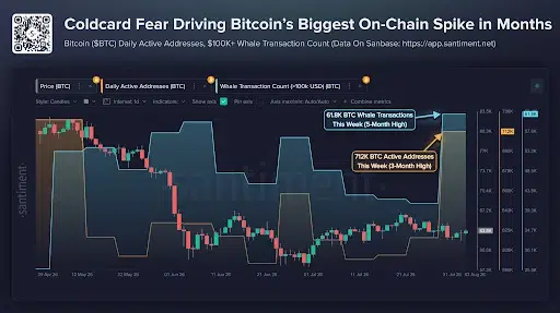 Bitcoin spike driven by coldcard fear
