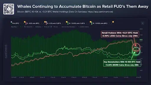 Bitcoin Whale Accumulation Strengthens Bullish Outlook