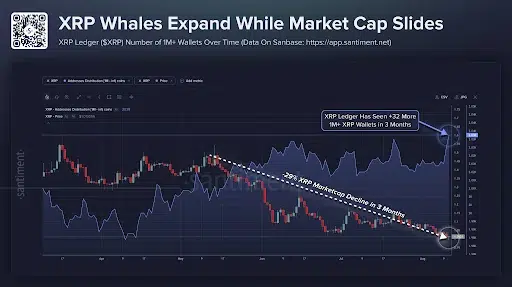 XRP Ledger Sees Growth as Selling Pressure Fades