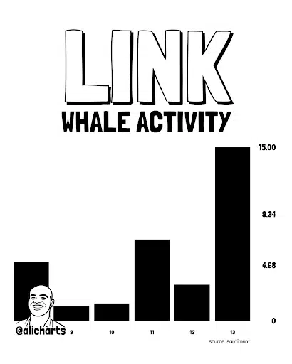 Whale Activity and Network Growth Strengthen Bullish Case