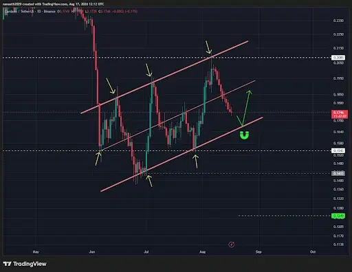 ADA Price Could Rebound to $0.21 if Support Holds