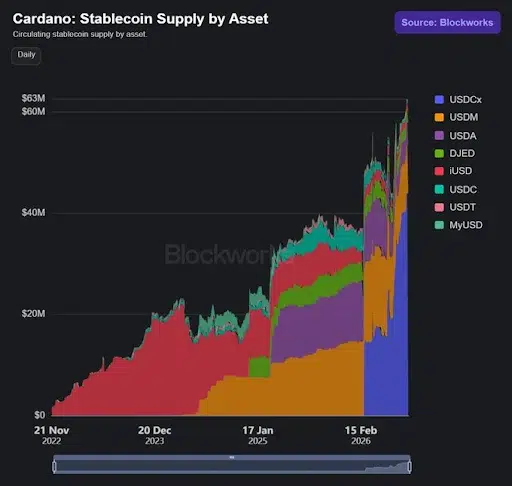 Cardano Stablecoin Market Cap Surpasses $62.5M