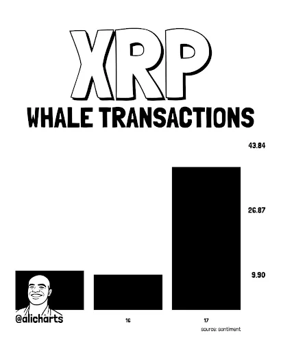XRP Whale Transactions Jump 280% in 24 Hours