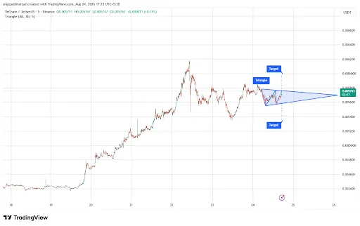 VET Price Eyes $0.006 Breakout as Triangle Tightens