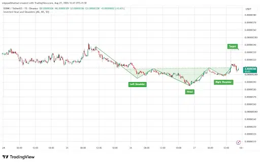 BONK Price Eyes Breakout Toward $0.00000334