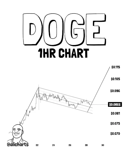 DOGE Price Eyes $0.115 as Bull Flag Forms
