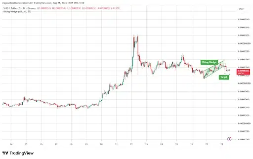 SHIB Eyes $0.00000520 as Bearish Setup Emerges