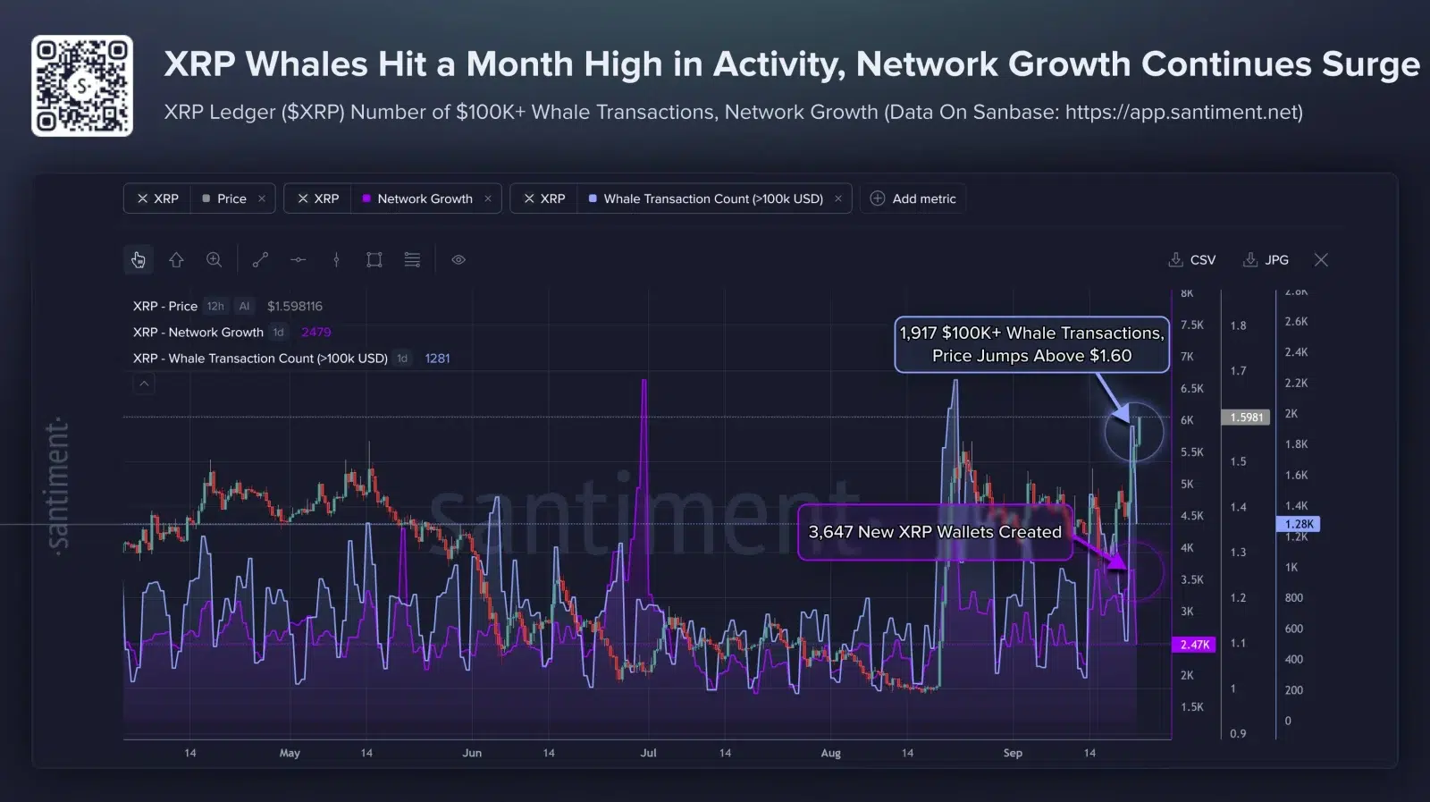 XRP whale and netowrk growth