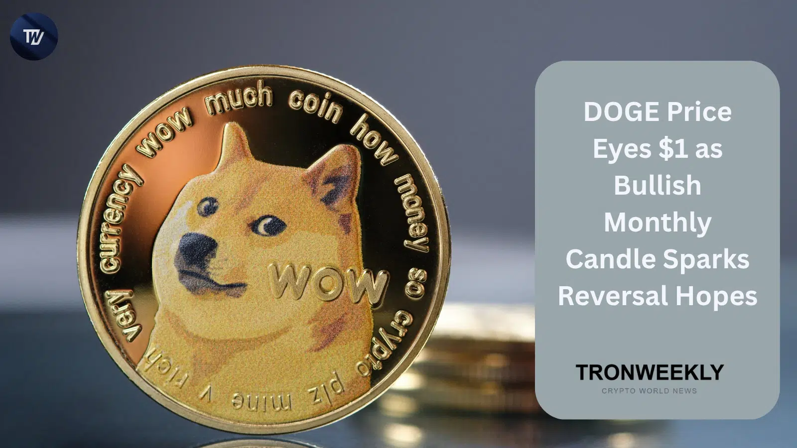 DOGE price
