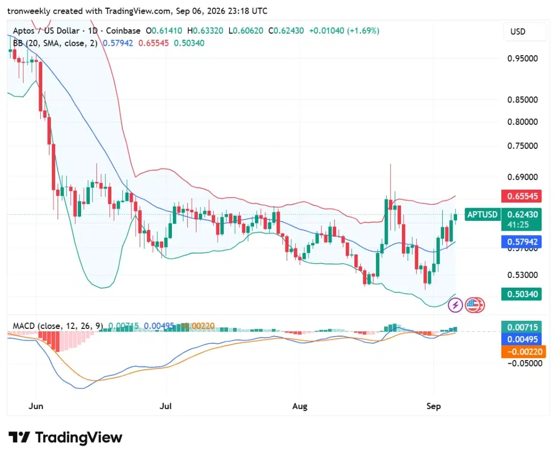 APT technical analysis