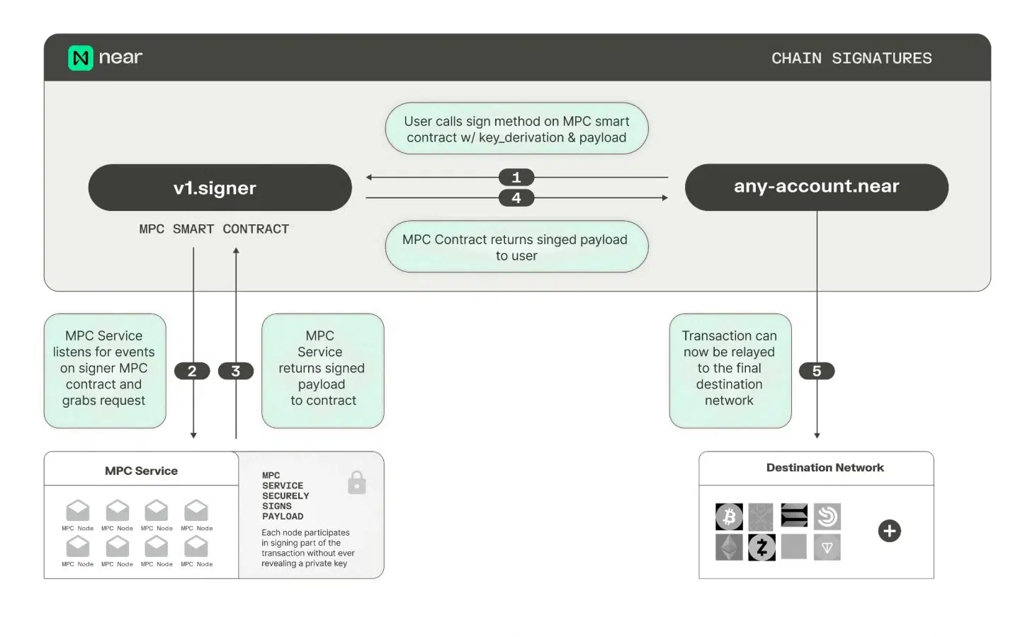 NEAR Protocol growth