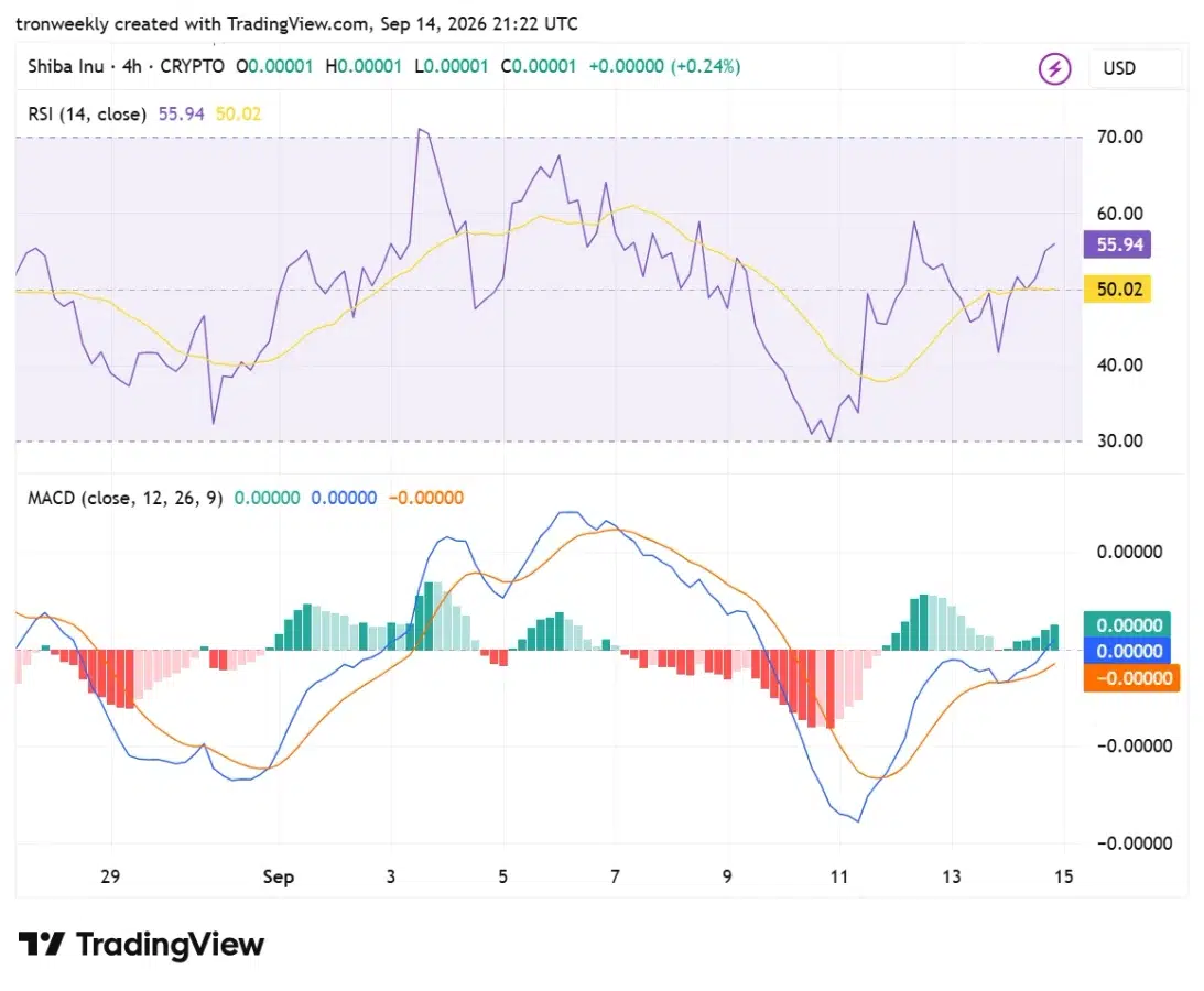 SHIB technical outlook