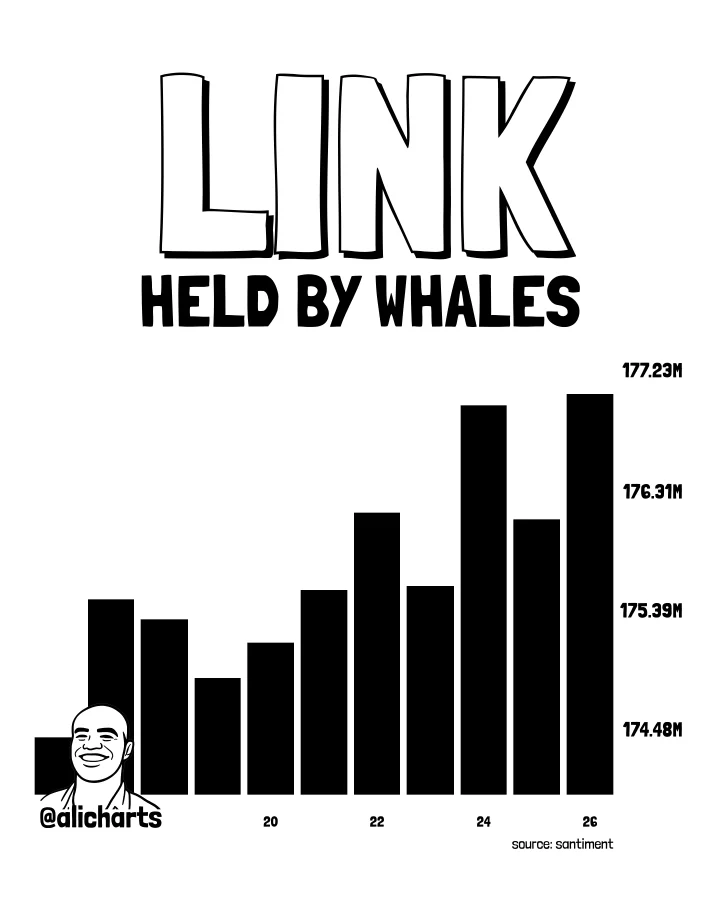 LINK whale activity