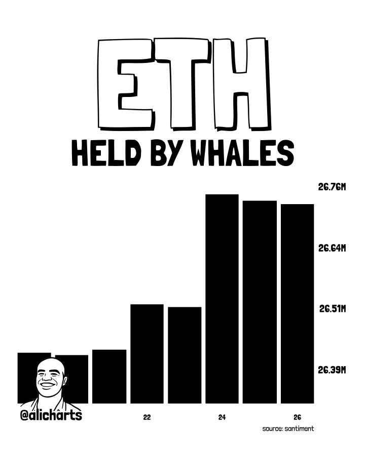 ETH whale holdings