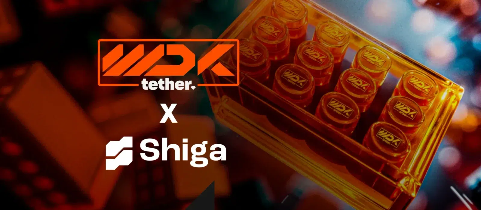 Tether and Shiga partnership